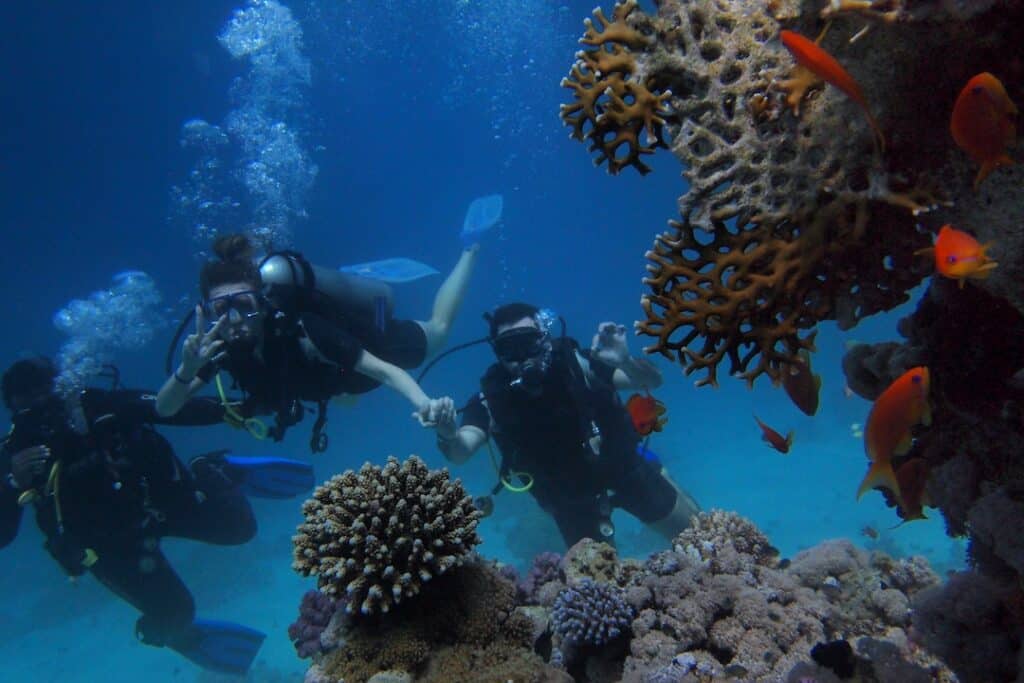 People Scuba Diving with reef and fishes